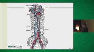 Diverse Applications of Intraoperative PTH Testing [upl. by Tammi]