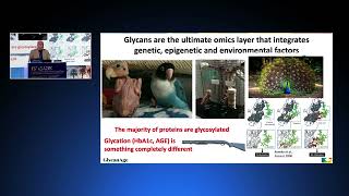 Prof Gordan Lauc What are glycans Excerpt from the lecture at 13th ISABS conference [upl. by Nomaid855]