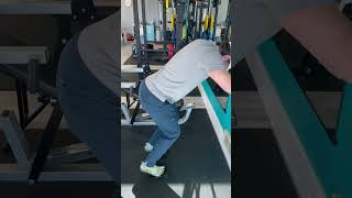 Bilateral Bodyweight Incline Soleus Raise [upl. by Hakon]