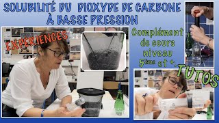 Le dioxyde de carbone est moins soluble à basse pression ExpériencesTutos pour refaire à la maison [upl. by Arot]