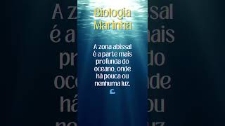 O que é zona abissal curiosidadescientificas zonaabissal oceano profundezasoceanicas [upl. by Eseilenna]