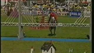 CLINTON I Holstein stallion at Falserbo Derby by wwwequineevolutioncom [upl. by Oknuj]