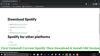 How to Fix Spotify Error apimswincoreconsolel320dll is missing 2023 [upl. by Otokam]