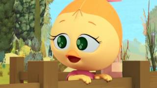 Calimero 3D 2014  Episode 16  A Star Is Hatched  English [upl. by Asor]