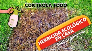 Cómo Preparar Un HERBICIDA CASERO NATURAL 100 ECOLÓGICO  Herbicida Orgánico [upl. by Mordy]