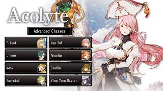 Advanced Classes of Acolyte  EX Skills  Avabel Online [upl. by Camey]