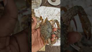 పీతలు amp ఎండ్రకాయలు వాటి గుడ్లు amp Crabs 🦀🦀🦀 kg 250 [upl. by Oelc]