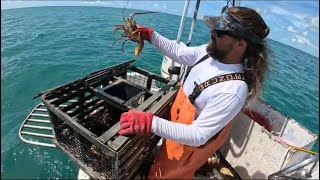 Lobster Mac and Cheese Catch and Cook with a Microwave [upl. by Nats663]