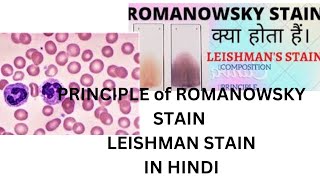 Romanowsky stain in hindi । Leishman stain । haematology । dmlt । principleof romanowsky stain [upl. by Roswell]