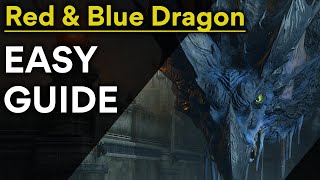 Demons Souls Red amp Blue Dragon Easy Boss Guide [upl. by Susumu]