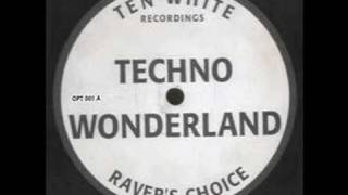 Ravers Choice  Techno Wonderland [upl. by Yelkrab805]