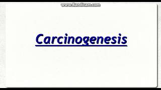 Chemical Carcinogenesis [upl. by Enelyw533]