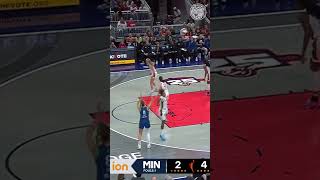 Minnesota Lynx vs Indiana Fever women basketball championship Highlights [upl. by Demakis]