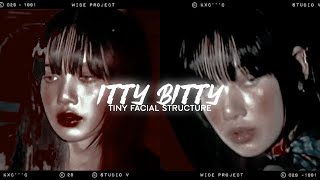 〄 itty bitty ⌗ small oval shaped face subliminal｡ [upl. by Saffian]