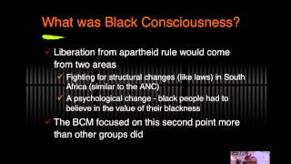 Steve Biko and the Black Consciousness Movement [upl. by Adnirb]