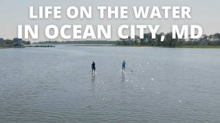 Exploring OCMD  Life By The Beach  Life Of An Ocean City Maryland Local [upl. by Annaehr]