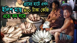 ইলিশ মাছ কতটা সস্তায় বিক্রি হচ্ছে ৪০০ টাকা কেজি  Hilisha Fishing market village in Bangladesh [upl. by Allyn438]