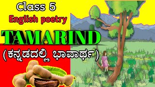 Tamarind poetry  5th standard English  Tamarind English poetry summary in Kannada  5th std  3rd [upl. by Yknarf294]