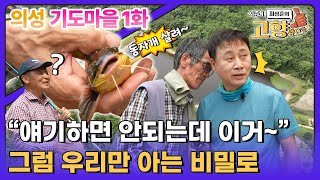 이게 바로 진짜 매운탕이다 의성 기도마을 Ep1 [upl. by Reizarf]