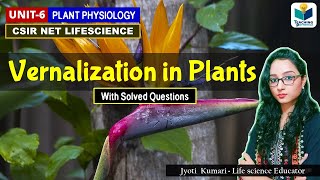 Vernalization in Plants  Botany  Plant Physiology  CSIR NET GATE DBTMSc [upl. by Lahsiv]