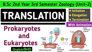 Translation in Prokaryotes and Eukaryotes  Initiation Elongation and Termination of Translation [upl. by Auqinehs368]