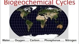 Biogeochemical Cycles honors biology updated [upl. by Carlisle]