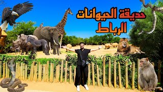 جولة في الحديقة الحيوانات🦒🐘 بالرباط وثمن💰 الدخول❤ Vlog 5 [upl. by Leelaj]