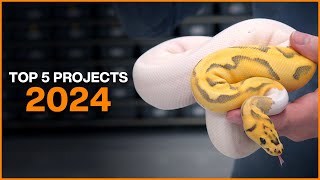 Top 5 Ball Python Projects for 2024 [upl. by Diao]