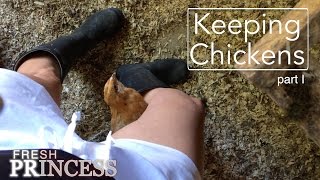 Keeping Chickens Part I Poo Tea  Fresh P [upl. by Hsirap]