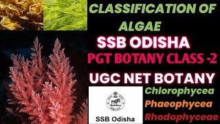 SSB PGT BOTANYCLASSIFICATION OF ALGAESSB ODISHAUGC NET [upl. by Nicks]