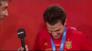 Cesc Fabregas interview after Spain win the World Cup for the first time Spain 1 Holland 0 [upl. by Ojahtnamas]