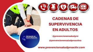 ✅🚨Cadenas de Supervivencia RCP en Adultos❤️🚑 [upl. by Hewe]