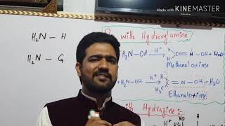 Reactions of ammonia derivatives with carbonyl groups [upl. by Yuhas315]