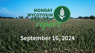 Monday Mycotoxin and Crop Report for September 16 2024 [upl. by Broek]