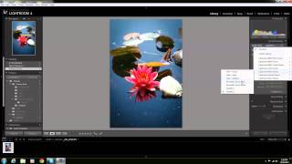 Lightroom  Quick Editing amp Exporting [upl. by Pollard]