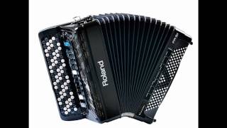 accordeon instrumentaal amsterdamse grachten [upl. by Annodas]