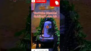 🕉️Chant Karpura Gauram Mantra with Meaning🙏 । Karpura Gauram amp Om namah shivaya shortsvideo shiv [upl. by Backler]