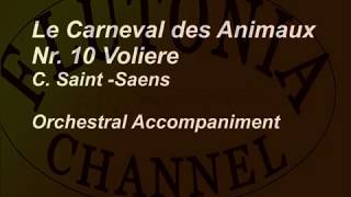 Tempo 84 bpm Orchestral Accompaniment for Flute Solo Le carneval des animaux Voliere  Play along [upl. by Anirehtac]