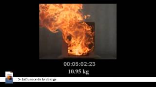 TP 5  Influence de la charge sur la dynamique du feu [upl. by Collin]