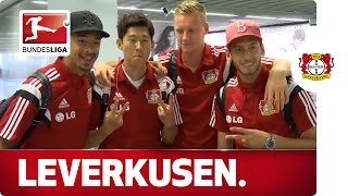 Enthusiasm for Son and Leverkusen in South Korea [upl. by Seif]