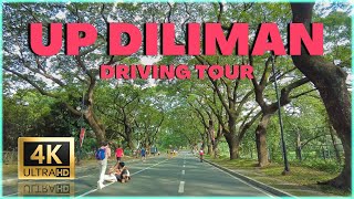 EXPLORING UP DILIMAN A Captivating Driving Tour of Philippines Iconic University 4K 🇵🇭 [upl. by Ingra]