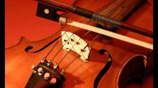 HUMMEL Concerto for Piano and Violin Op 17  Violin Concerto  part 1 [upl. by Pich]