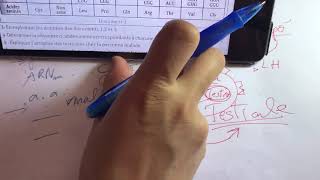 Exam génétiqueexpliquer la maladieméioseCourbe variation qté ADNformule chromosomique [upl. by Rufina350]