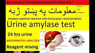 Urine amylase testurine amylase creatinine clearance ratio testcramclr test in pashto [upl. by Laurella964]