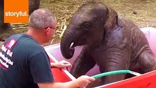 Baby Elephant Cant Stop Slipping In Bath [upl. by Diann]