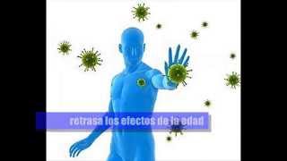 Suplemento RESVERATROL  Beneficios [upl. by Elletse730]