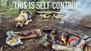 Solo overnight woodland camp with my dog  Bushcraft steak and British MRE [upl. by Atikat]