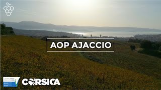 🍇 Autour du vin  LAOP Ajaccio [upl. by Imer1]