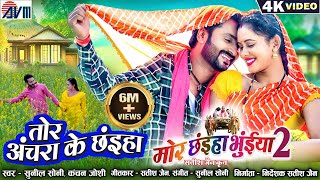 Mor Chhaiya Bhuiya 2  Cg Movie Song  Tor Achara Ke Chhaiya  Chhattisgarhi Gana  Man Diksha  AVM [upl. by Ihcego]