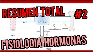 FISIOLOGIA DEL SISTEMA ENDOCRINO Glándulas y hormonas  PARTE 2 [upl. by Marilin295]